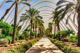 PUENTE MAYO - VALENCIA